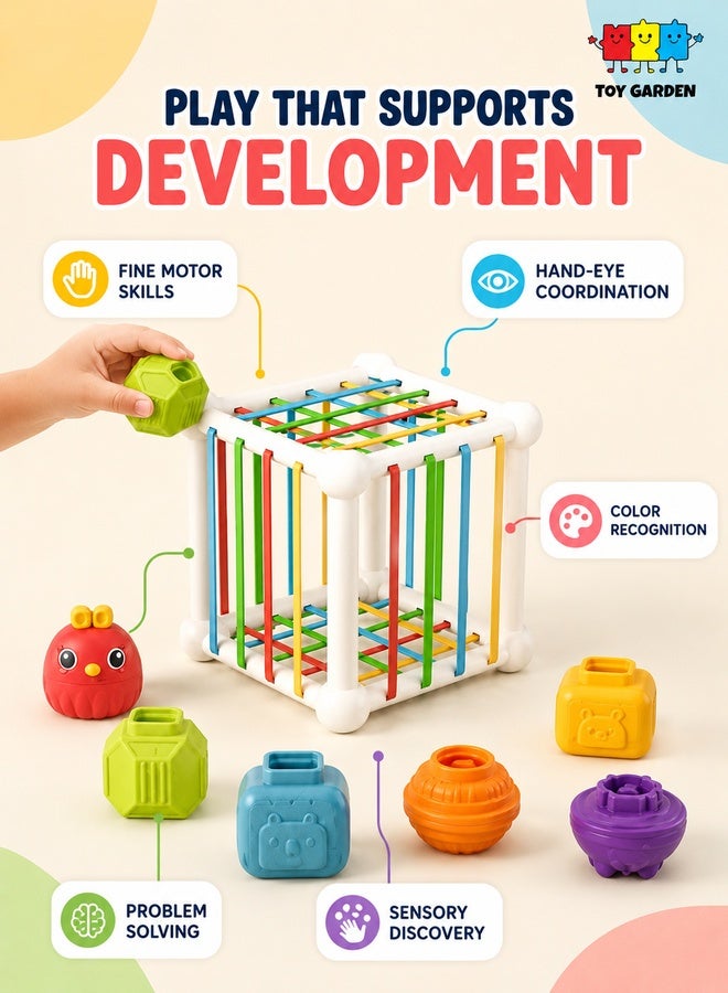 TOY GARDEN Montessori Baby Shape Sorter Toy – Colorful Sensory Activity Cube with 6 Shape Blocks, Interactive Shape Matching & Sorting Toy for Toddlers and Kids - Image 3