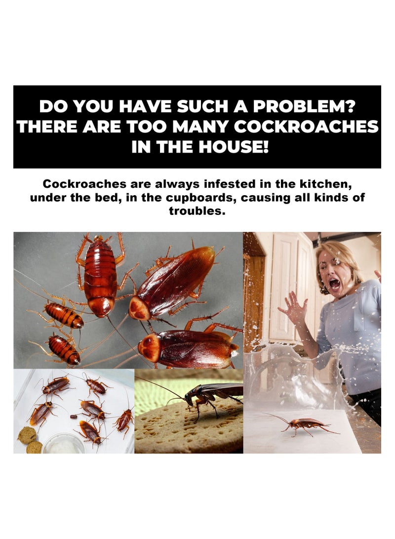 Generic Insect Repellent, Cockroach Bait, Home Kitchen, Cockroach Repellent Cleaner, 24 Pcs  - Image 5