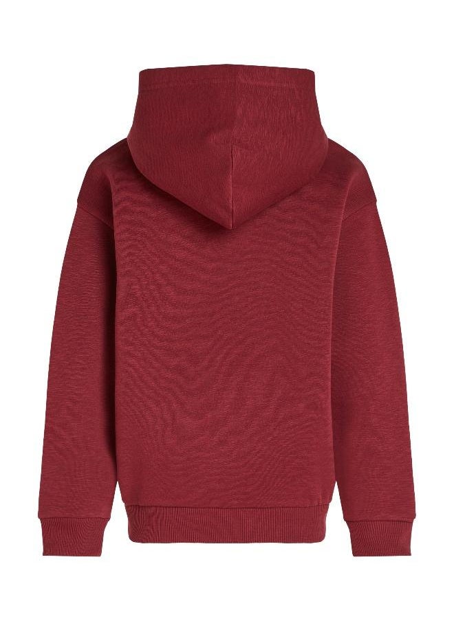 TOMMY HILFIGER Kids Graphic Hoodies  - Image 5