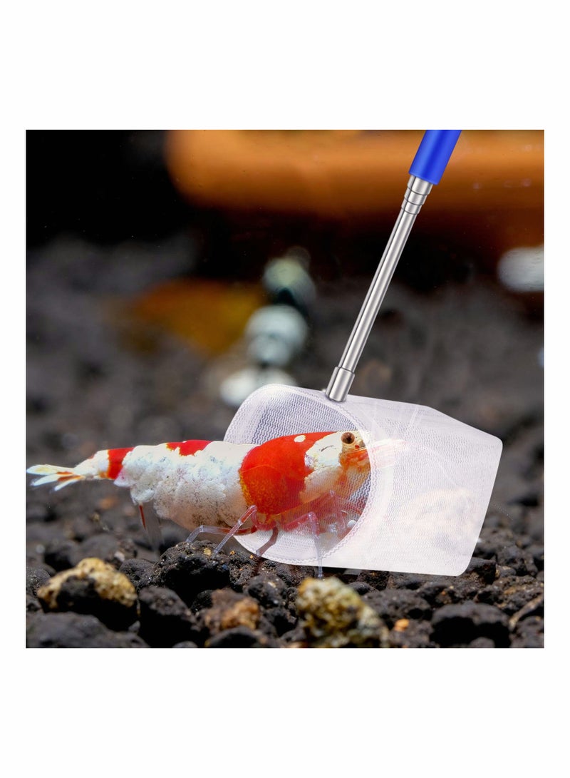 Excefore 4 Pieces Fish Tank Shrimp Net Extendable Handle Shrimp Net Aquarium Stainless Steel Small Fishing Net Fish Shrimp Skimming Net with Adjustable Handle for Aquarium Fish Tank Pond Creek - Image 4