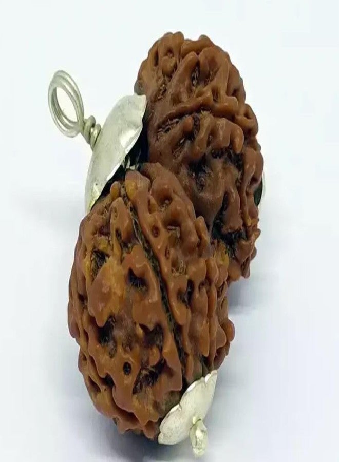 IRIS GEMS गोरी शंकर रुद्राक्ष Gaurishankar Rudraksha Original Lab Certified Combined Gauri Shankar Rudraksha Nepal Gori Shankar Rudraksha Pendant Gauri Shankar For Men & Women - Image 3