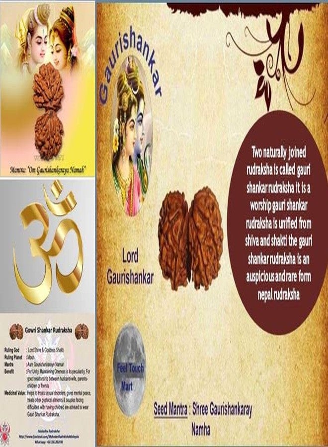 IRIS GEMS गोरी शंकर रुद्राक्ष Gaurishankar Rudraksha Original Lab Certified Combined Gauri Shankar Rudraksha Nepal Gori Shankar Rudraksha Pendant Gauri Shankar For Men & Women - Image 4