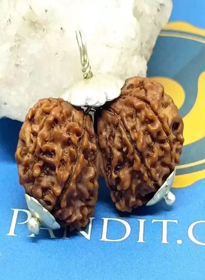 IRIS GEMS गोरी शंकर रुद्राक्ष Gaurishankar Rudraksha Original Lab Certified Combined Gauri Shankar Rudraksha Nepal Gori Shankar Rudraksha Pendant Gauri Shankar For Men & Women - Image 2