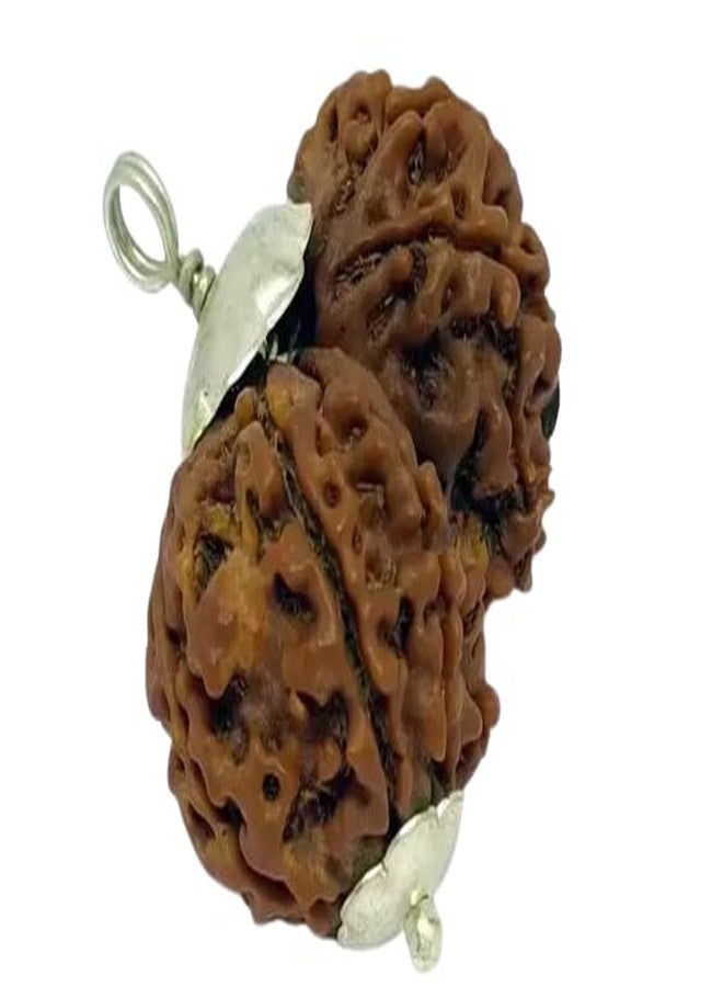 IRIS GEMS गोरी शंकर रुद्राक्ष Gaurishankar Rudraksha Original Lab Certified Combined Gauri Shankar Rudraksha Nepal Gori Shankar Rudraksha Pendant Gauri Shankar For Men & Women - Image 1