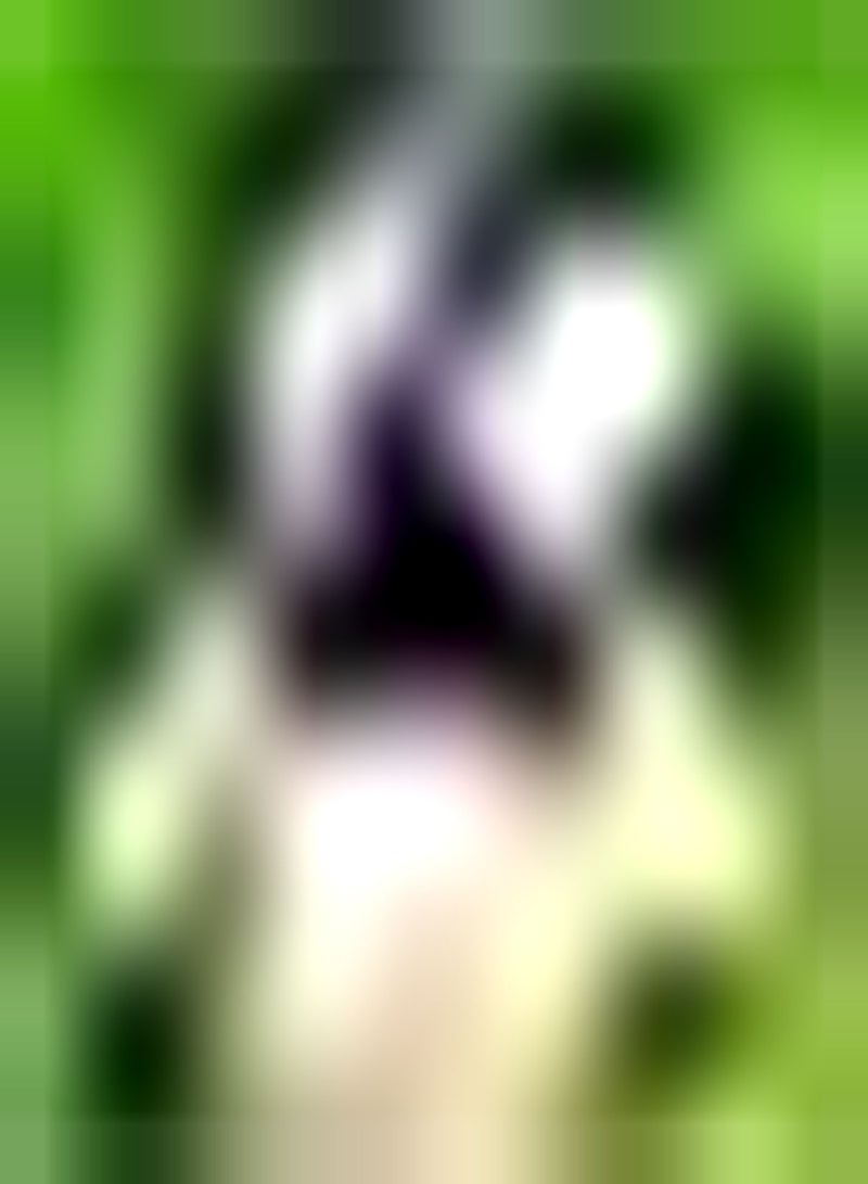 GGOOT 5pcs Paarse Iris Bollen Kleurrijke Geleidelijke Binnenplaats Verfraaid Rijke Geuren Aantrekkende Vlinders Kleuren Heldere Opvallende Bloem Sterke Wortelstokken - Image 2