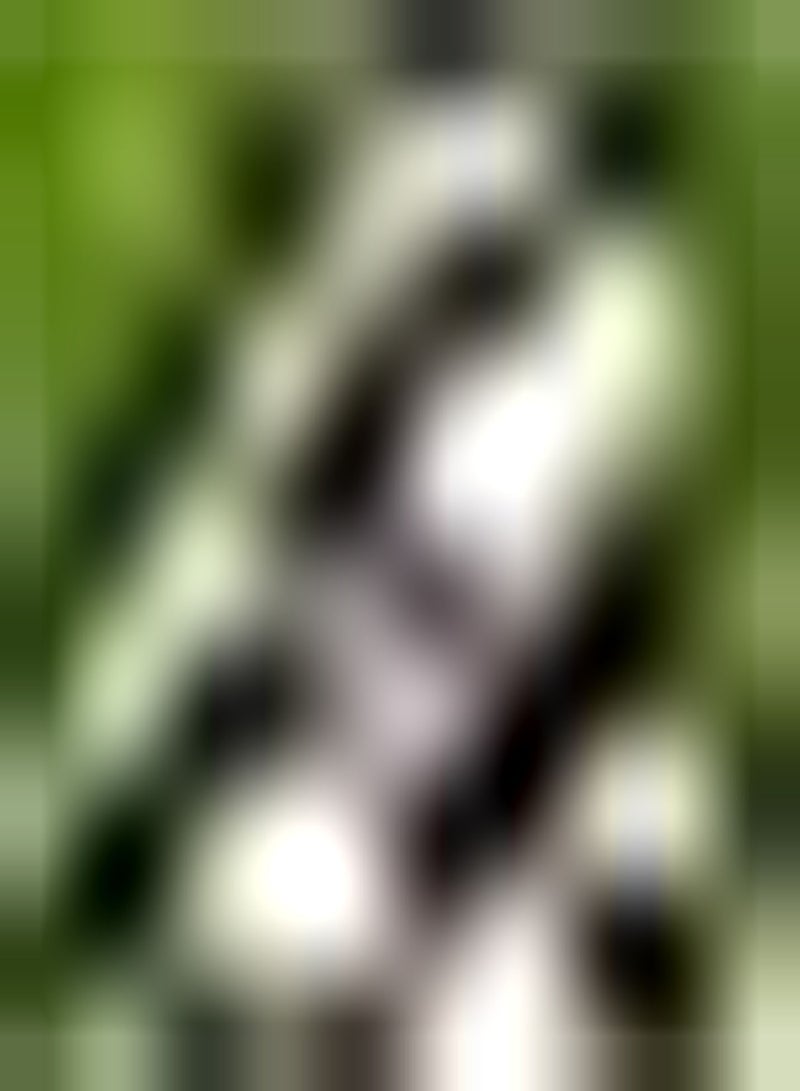 GGOOT 5pcs Paarse Iris Bollen Kleurrijke Geleidelijke Binnenplaats Verfraaid Rijke Geuren Aantrekkende Vlinders Kleuren Heldere Opvallende Bloem Sterke Wortelstokken - Image 1