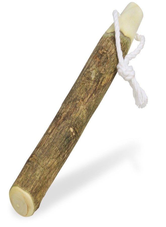 Morikuru Japanese Pepper Tree Pestle 6.69 in (170mm), Sansho Surikogi, Japanese Kitchen Utensils, Made in Japan - Image 1