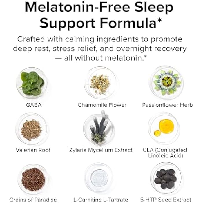 INNOSUPPS Night Shred Black Melatonin-Free - Night Time Fat Burner, Weight Loss, and Natural Sleep Support - GABA Complex with Ashwagandha, CLA, Grains of Paradise - Thermogenic Fat Burner - 90 Vegan Capsules - Image 5