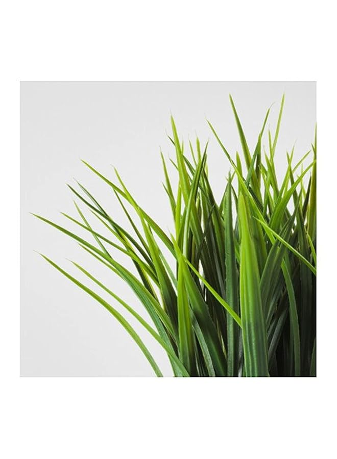 نباتات زينة صناعية وأواني أعشاب