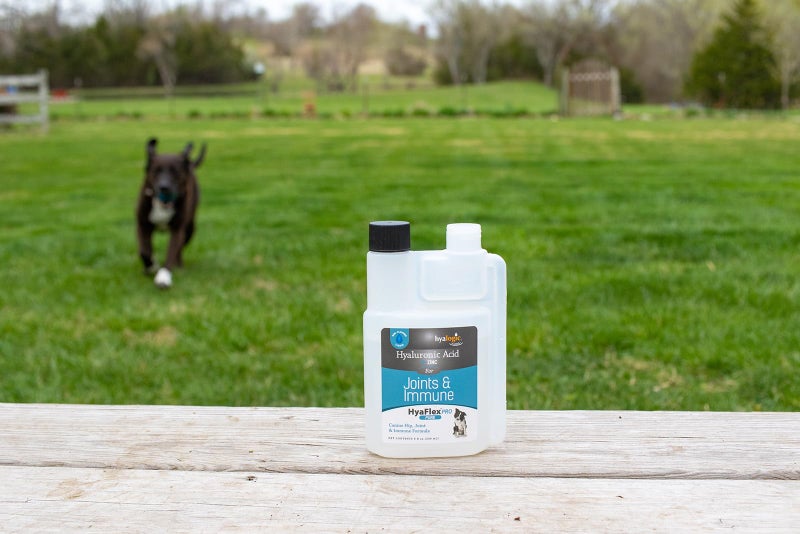 Hyalogic HyaFlex Pro Pure (8 fl oz) - Canine Hyaluronic Acid & Zinc Dog Supplement - Joint & Immune Dog Health Supplies - Liquid Canine Joint Supplement - Promotes Healthy Cartilage & Flexibility - Image 5