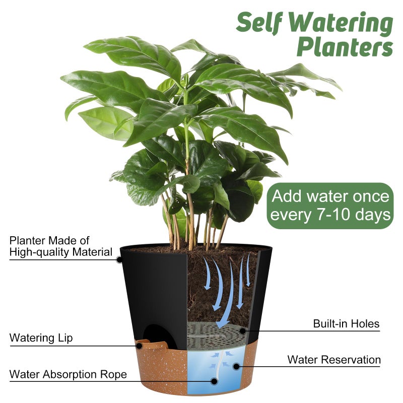 YNNICO 10-Inch Plant Pots, Self-Watering Planters with Drainage Holes & Saucers for Indoor and Outdoor Plants (2-Pack, Black) - Image 5
