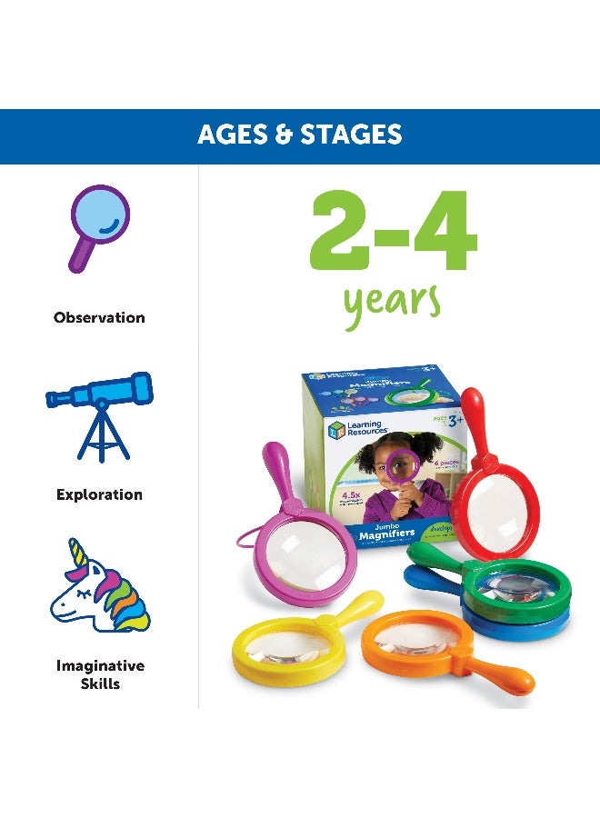 ليرننج ريسورسز مجموعة من 6 عدسات مكبرة كبيرة لمادة العلوم الأساسية من Learning Resources، تكبير 4.5x، حامل مدمج، مثالية للأيدي الصغيرة، مثالية لدروس علوم الحياة، للأعمار من 3 سنوات فما فوق - Image 4