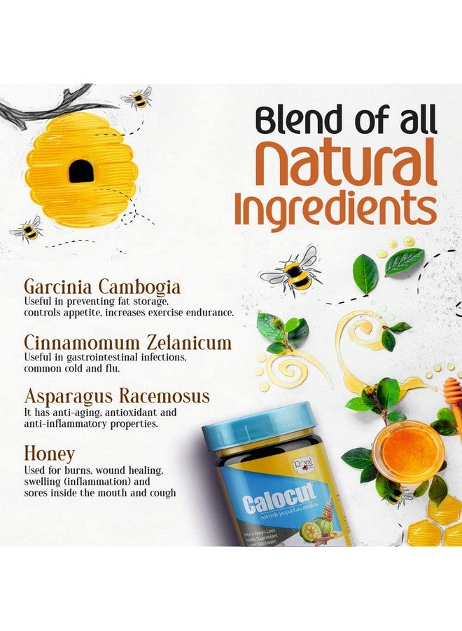 Royal Bee Calocut Honey - Ayurvedic Blend for Weight Management | Appetite Control | Supports Skin Health | With Garcinia & Cinnamon (500 gm) - Image 5