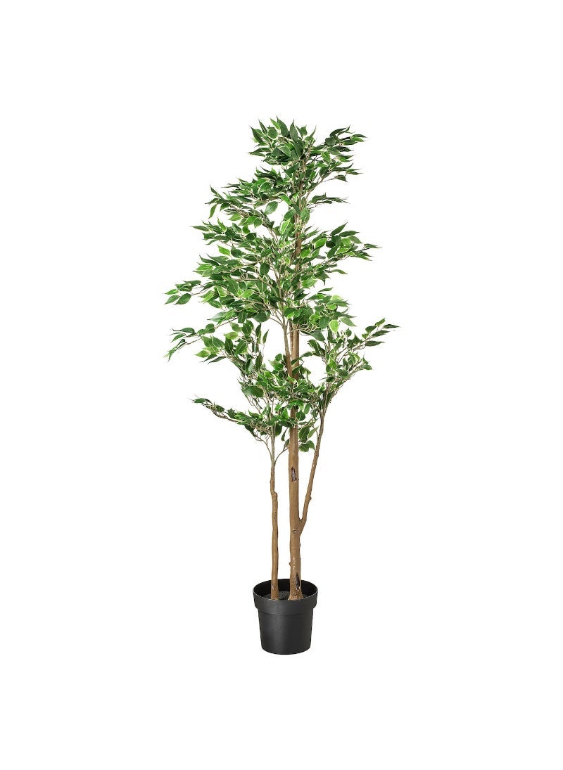 FEJKA Artificial Potted Plant Indoor & Outdoor Weeping Fig 21 Cm