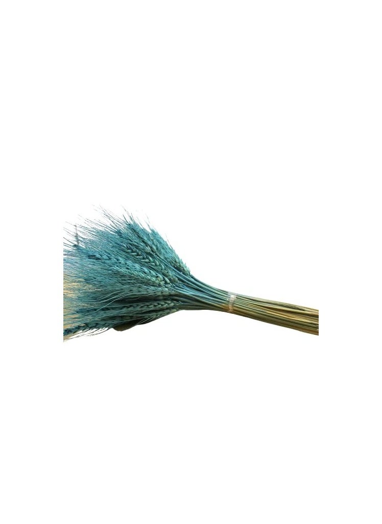 Generic Fancy Dry Wheat Grass Bouquet Natural Dried Flowers ( Blue bayou  50)  - Image 2