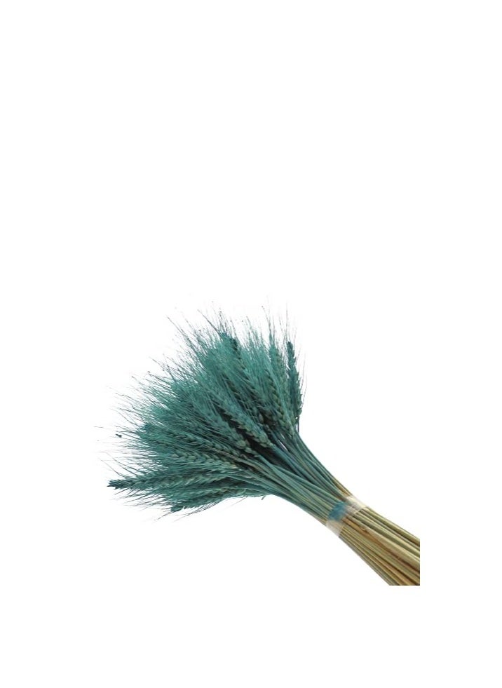 Generic Fancy Dry Wheat Grass Bouquet Natural Dried Flowers ( Blue bayou  50)  - Image 1