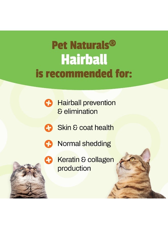 Pet Naturals Pet Naturals Hairball for Cats  - Image 4