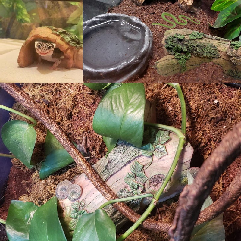 MUYG Resin Reptiles Hollow Tree Trunk Habitat Decor Reptile Log Hides Caves Bearded Dragon Hideout Cave Bark Habitats Decoration Gecko Hut for Lizard Chameleon Crested Gecko Snake Spider (3Pcs) - Image 2