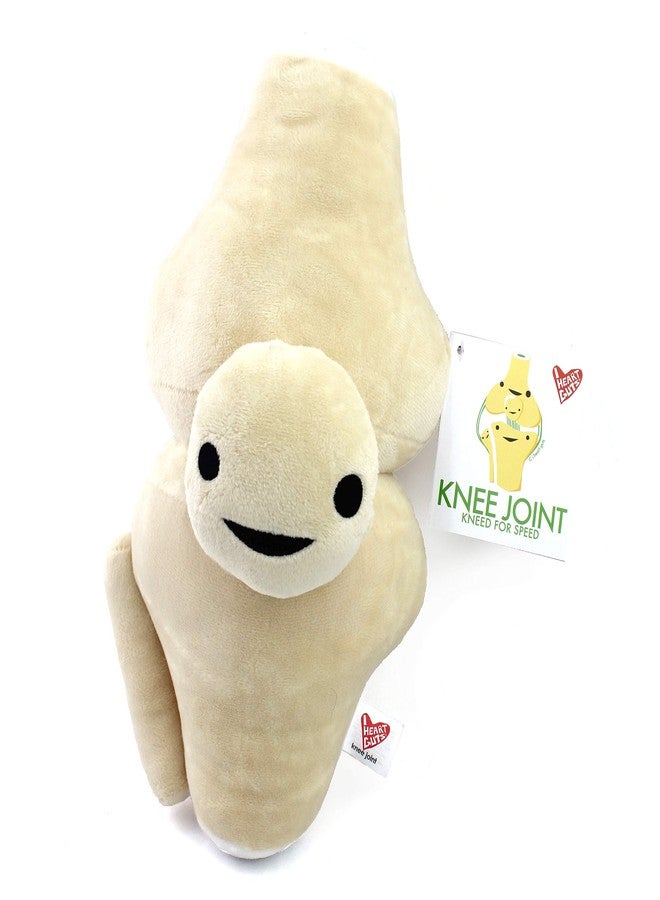 I Heart Guts Knee Joint Plush - Kneed for Speed - Knee Joint Stuffed Pillow Toy Bone, Knee Surgery Gifts - Doctors, Physical Therapists & Orthopedic Surgeon Gifts - Image 5