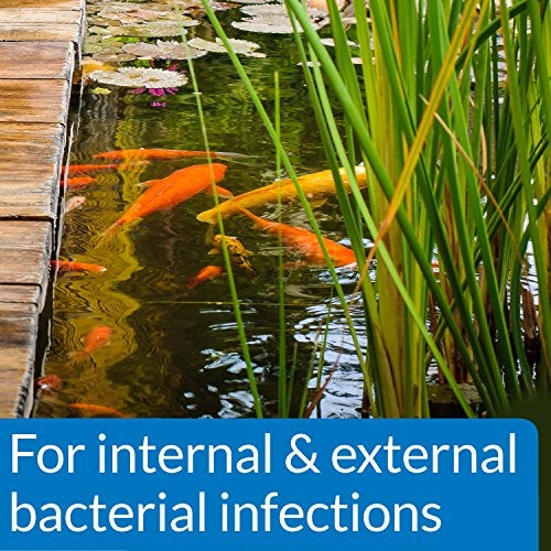 API POND PIMAFIX Antifungal Pond Fish Infection Remedy 64-Ounce Bottle - Image 4
