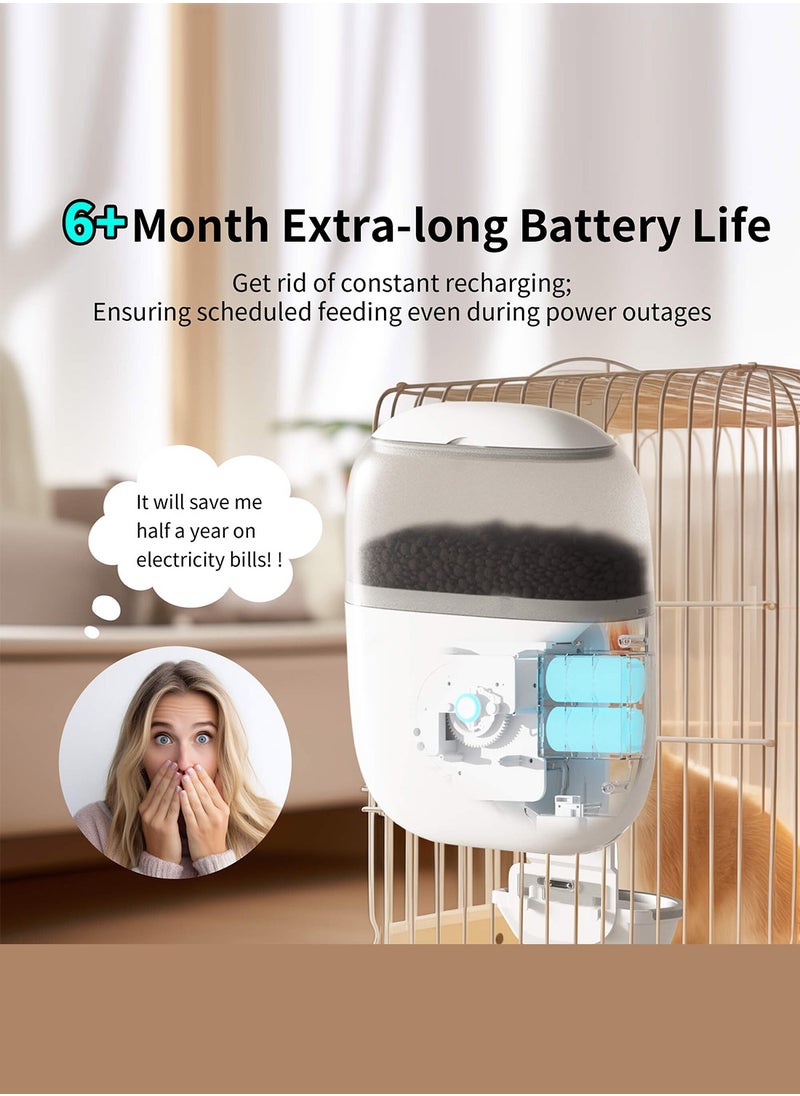 Kidle - Automatic Hutch Rabbit Feeder Pet Feeder - Image 1