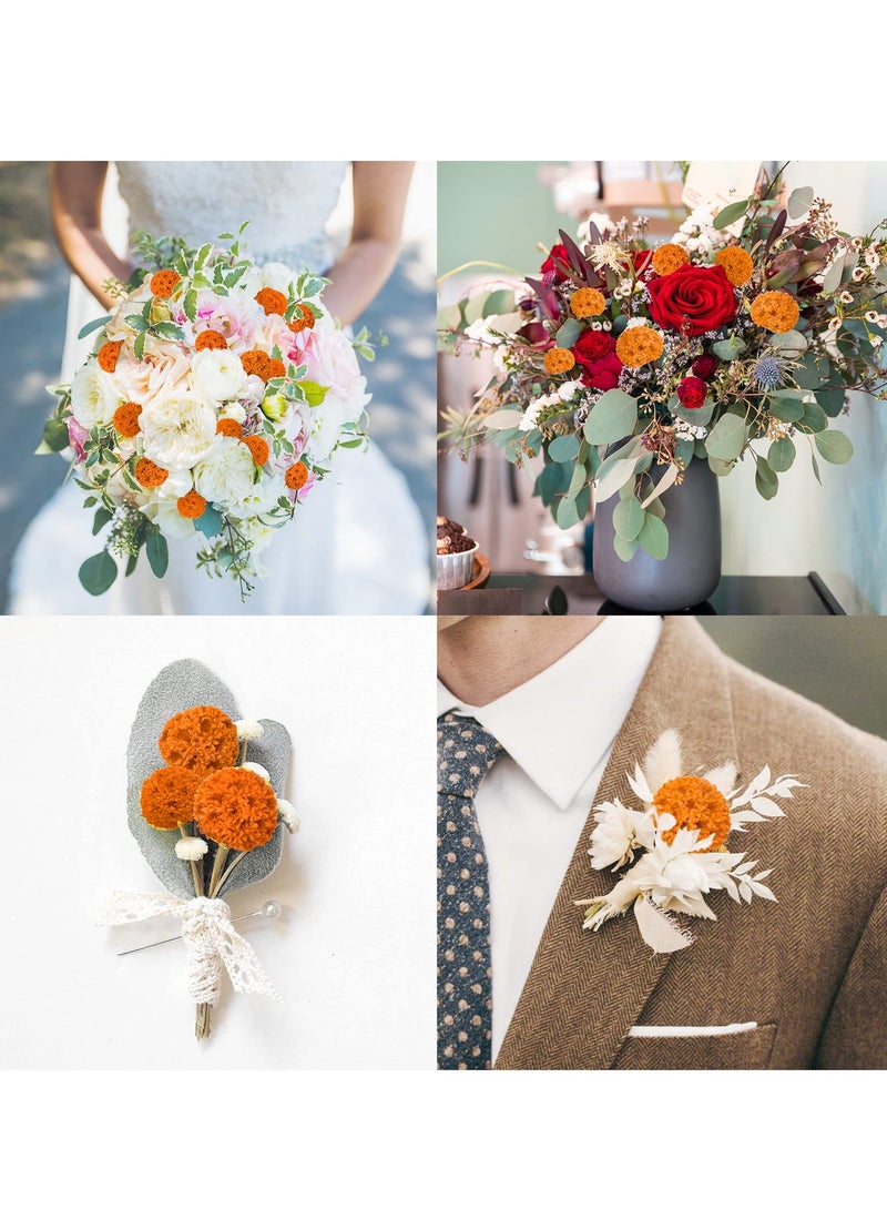 KASTWAVE 24 PCS Dried Craspedia Billy Balls Flowers Bouquet 18" Natural Dried Flowers Perfect For Vase Arrangements Wedding Centerpieces Party & DIY Home Decor  - Image 2