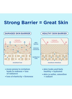 Skinfix Skinfix Barrier+ Lipid-Boost Body Cream: Daily, All-Over Vegan Body Cream That Nourishes Skin & Is Clinically Proven to Increase Hydration, 10 Fl Oz  - Image 5