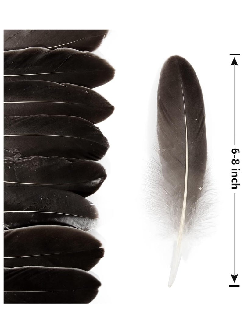 Zikra 100 قطعة من ريش الإوز الطبيعي لتزيين بألوان متنوعة 6-8 بوصة للحرف اليدوية والمهرجانات إريكورد (بني) - Image 2