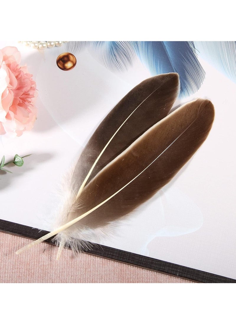 Zikra 100 قطعة من ريش الإوز الطبيعي لتزيين بألوان متنوعة 6-8 بوصة للحرف اليدوية والمهرجانات إريكورد (بني) - Image 5