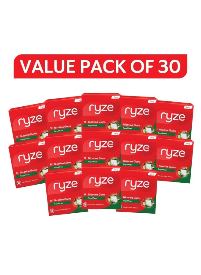 رايز علكة رايز نيكوتين ٢ ملغ | عبوة من ٣٠ قطعة (٢٧٠ علكة) | رويال بان | التحرر من التدخين والتبغ | لطيفة على الحلق | معتمدة من إدارة الغذاء والدواء الأمريكية | خالية من السكر | تبييض الأسنان - Image 2