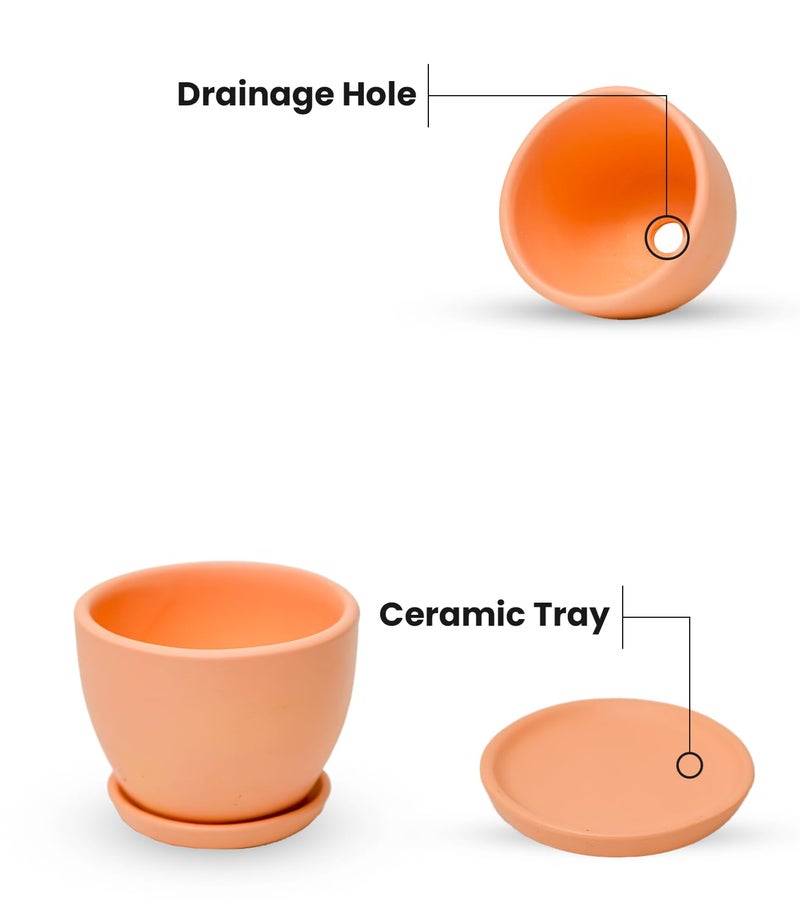 Nurturing Green® Set of 2 Modern Blush Pink Ceramic Pots (Plants Not Included) for Home, Indoor Décor & Gifting (Size: Small (4.25 Inch Wide) | Comes with Bottom Plates) - Image 2