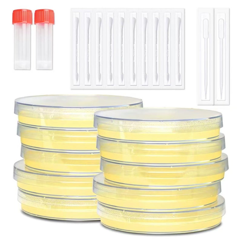 Nutrient Agar Petri Dishes Science Project Kit PrePoured Agar Plates and Cotton Swabs for Science Experiments Bacteria Science Kit Sealed Separately 60PCS - Image 3