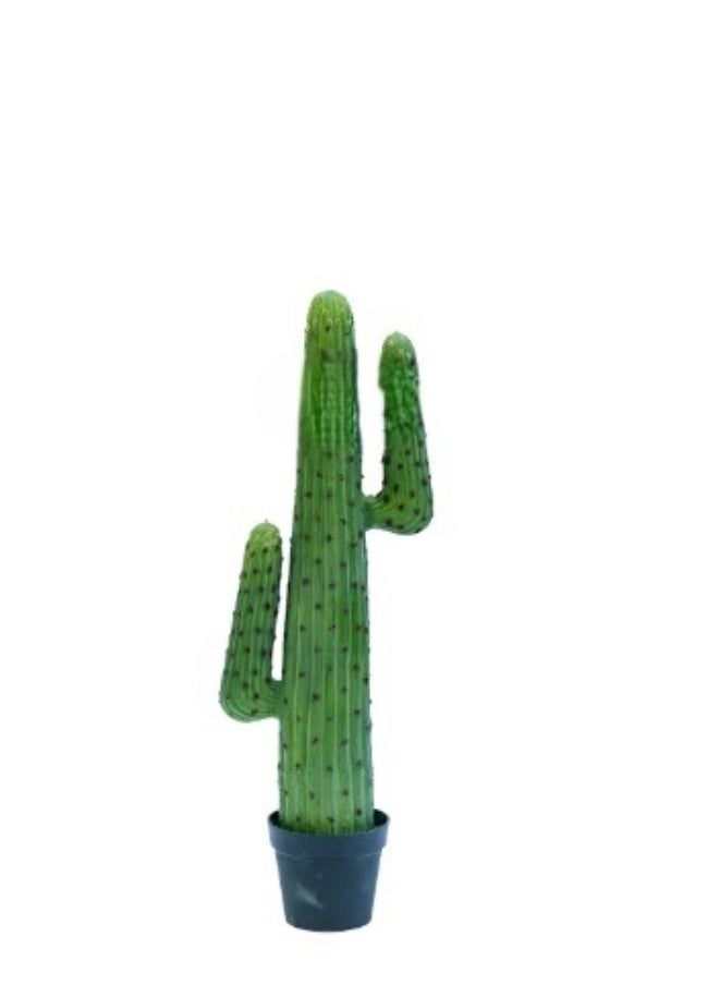 HRT WALL Cactus Cereus round 102cm - green 