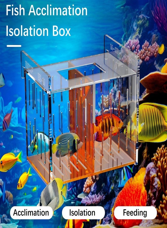 ONE BAYJF Fish Breeder Isolation Box for Aquarium Tank,Transparent Orange Acrylic Fish Acclimation Box for Clownfish Guppy Betta Coral (M) - Image 2