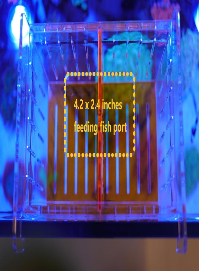 ONE BAYJF Fish Breeder Isolation Box for Aquarium Tank,Transparent Orange Acrylic Fish Acclimation Box for Clownfish Guppy Betta Coral (M) - Image 5
