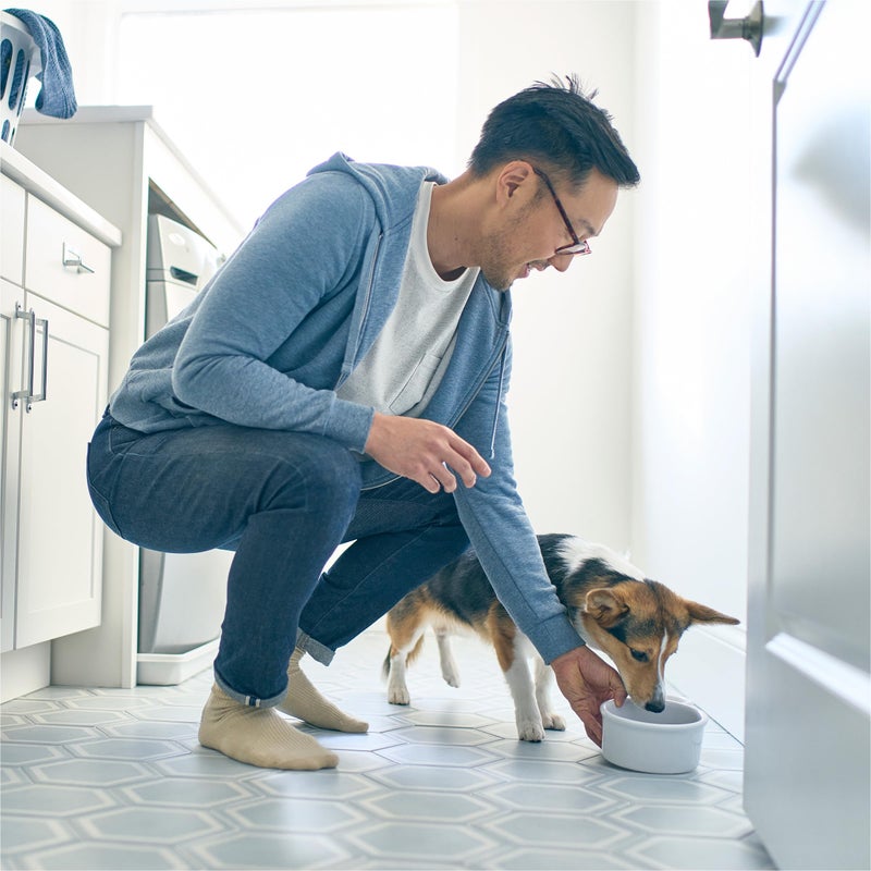 Petivity Microbiome Analysis Kit - Basic for Cats and Dogs, Powered by Purina - 4.8 oz. Box - Image 5