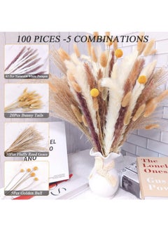 ماركة غير محددة المجففة Pampas العشب المجفف زهرة صغيرة بوص بوهيميا الزهور الطبيعية للزينة المنزلية زهرة غرفة المعيشة شرفة حفل زفاف ترتيب ذيل الأرنب الأبيض ريد 