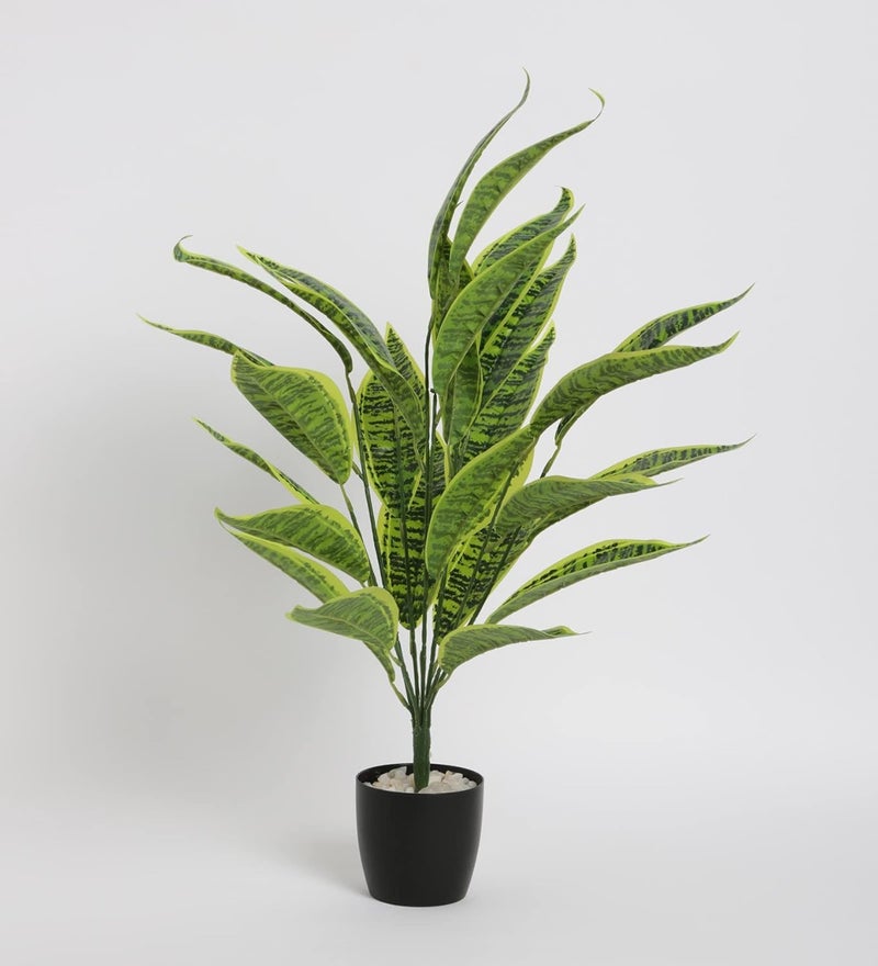 Home Bloom Faux Snake Plant Tree Artificial Indoor 70 Cm Tall in Pot with Dried Moss Fake Potted Olive Topiary Silk Tree Big Floor Plant for Home Decor Indoor