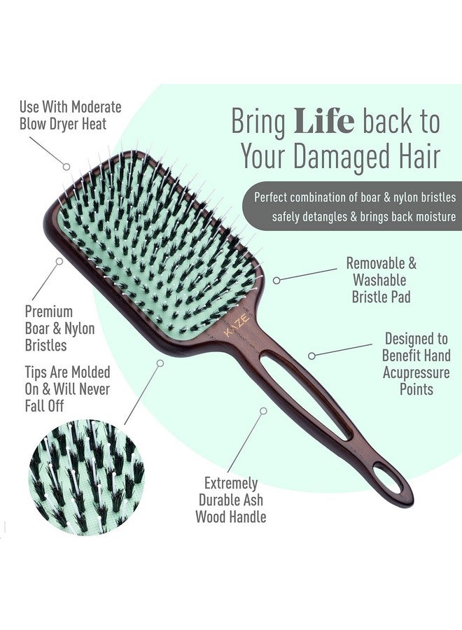 Mint فرشاة شعر مهنية بسيريات صديقة للبيئة بشعيرات خنزير للنساء من مينت; فرشاة متينة ضد الكسر لفك تشابك الشعر لجميع أنواع الشعر; مقبض خشبي مصنوع يدويًا مع وسادة شعيرات قابلة للغسل - Image 4