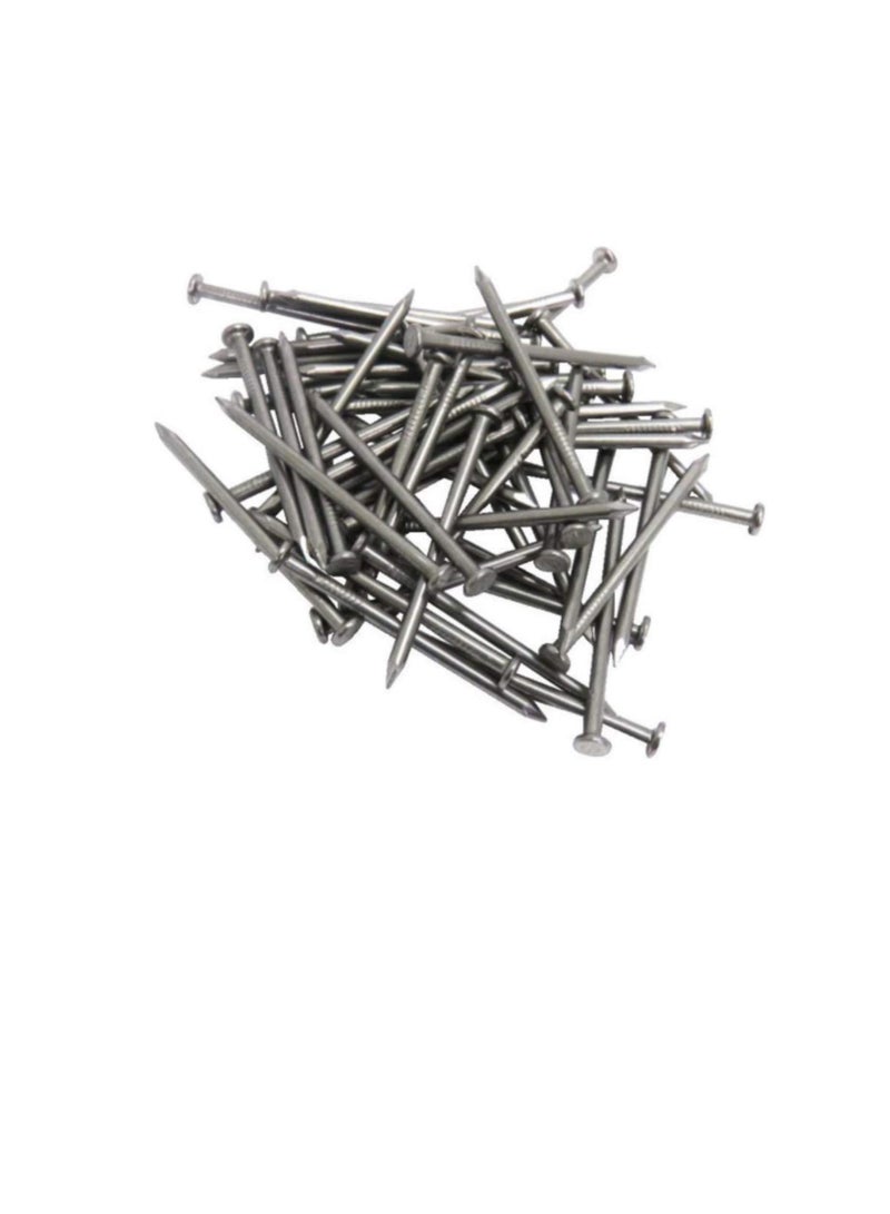 High Strength Round Head Nails For Carpentry Hardware Electrical Etc (100, 1 inch) - Image 1
