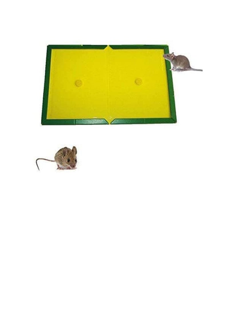 مصيدة غراء الفئران والجرذان باللون الأصفر/الأخضر - Image 2