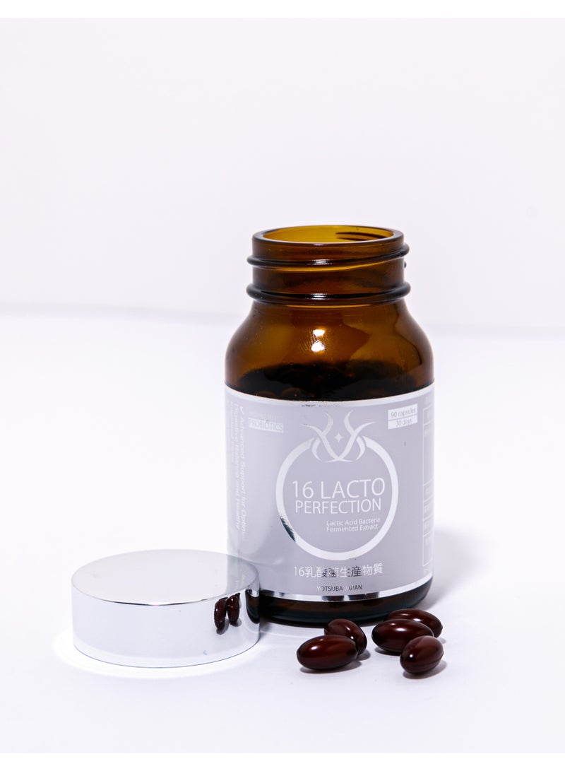 جابان 16 محافظة لاكتو - Image 5