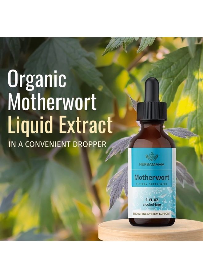 HERBAMAMA Motherwort Tincture - Organic Motherwort Herb Liquid Drops - Vegan Supplement - 2 fl oz - Image 4