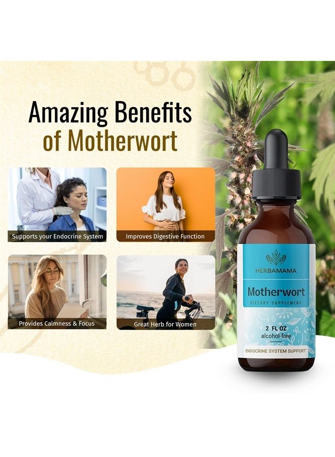 HERBAMAMA Motherwort Tincture - Organic Motherwort Herb Liquid Drops - Vegan Supplement - 2 fl oz - Image 3