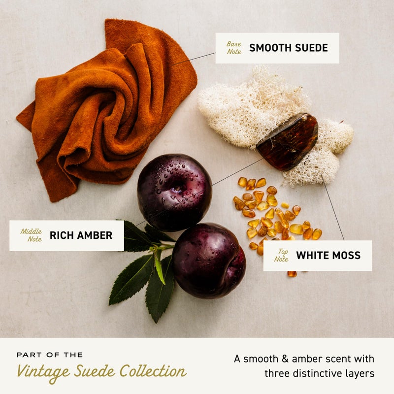 Cremo Cologne For Men - Vintage Suede Mens Cologne Spray, A Combination of White Moss, Rich Amber, and Smooth Suede, Multi-Layered Signature Men's Fragrances, 3.4 Fl Oz - Image 3