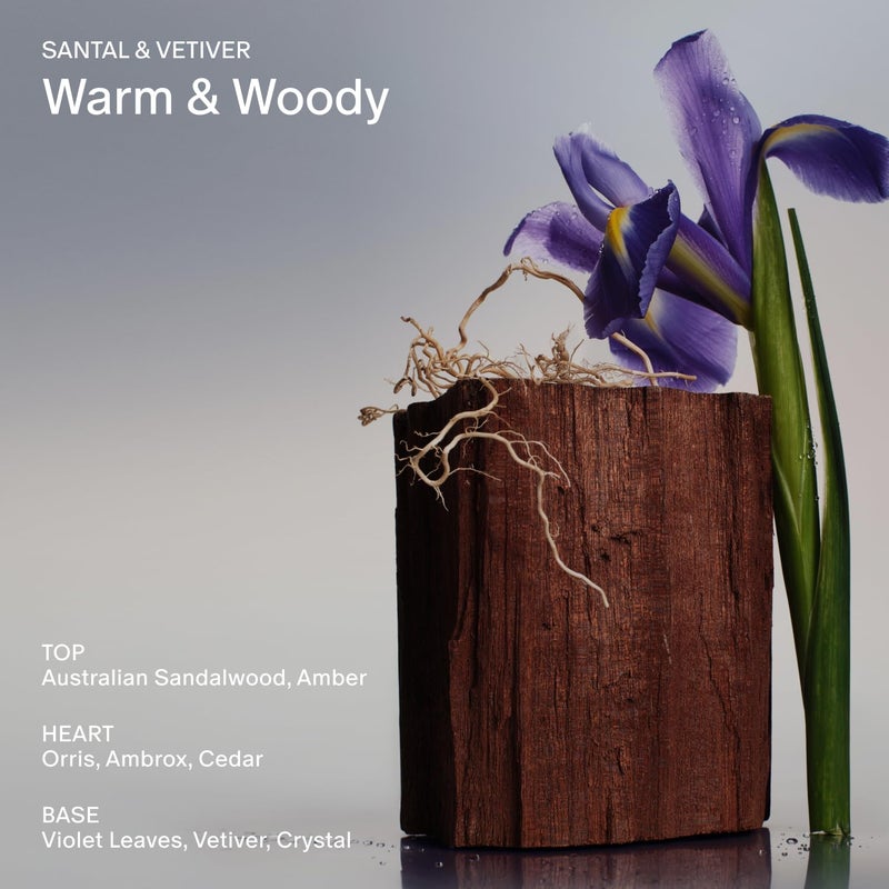 Salt & Stone غسول الجسم بالملح والحجر مع مضادات الأكسدة لترطيب عميق | للنساء والرجال، خالي من الكبريتات والبارابين والأصباغ، يترك البشرة ناعمة ورطبة - Image 3