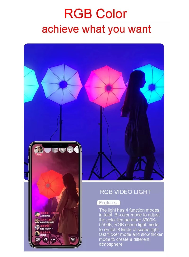 FX Studio 65cm Lantern Softbox Lighting Kit – 200W Bi-Color with Remote Softbox+Stands+Bag - Image 2