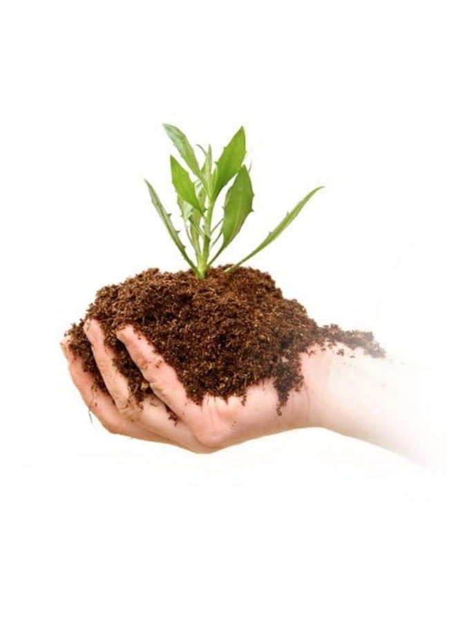 Agriculture compost, 100% organic and natural fertilizer, weight 10 kg