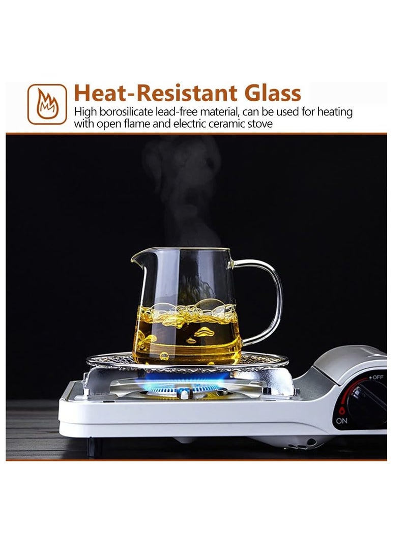 Glass Tea Dispenser, Heat Resistant Tea Fair Cup, Glass Teapot with Removable Stainless Steel Infuser, Borosilicate Glass Tea Pots for Blooming and Loose Leaf Tea Maker (450ml, C) - Image 3