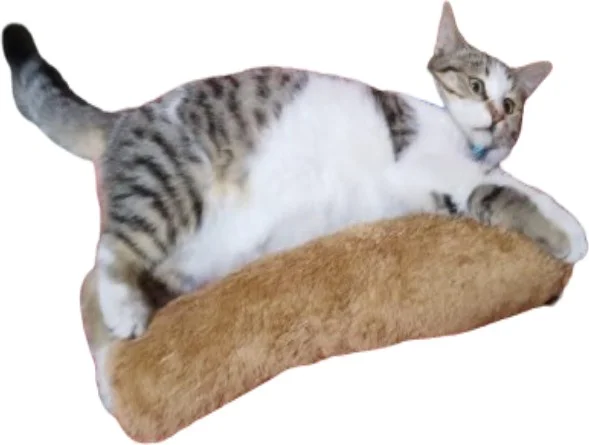 Tineke Cat Toy Hugging Pillow Sleeping Toy Cat Grass 30 cm Plush (1 Piece